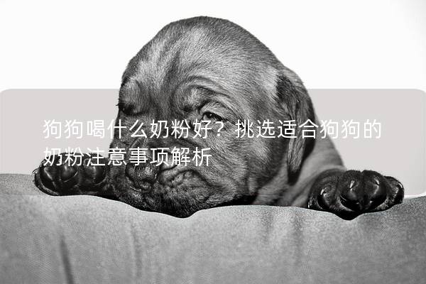狗狗喝什么奶粉好？挑選適合狗狗的奶粉注意事項解析